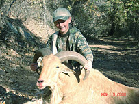 Aoudad hunt in Texas