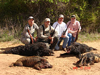 Texas Boar Hunting