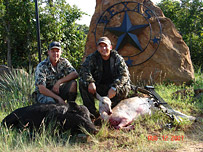 Hog and Exotic Game Hunt in Texas