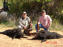 Texas Pig Hunting