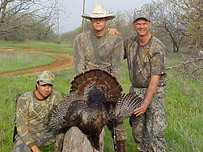 Wild Turkey Hunting in Texas