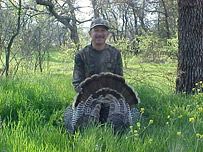 Turkey Hunting in Spring