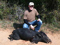 Wild Hog hunt in Texas